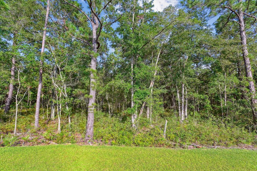 Image 80 of a home in Saint John's Lake: Arbor Collection.