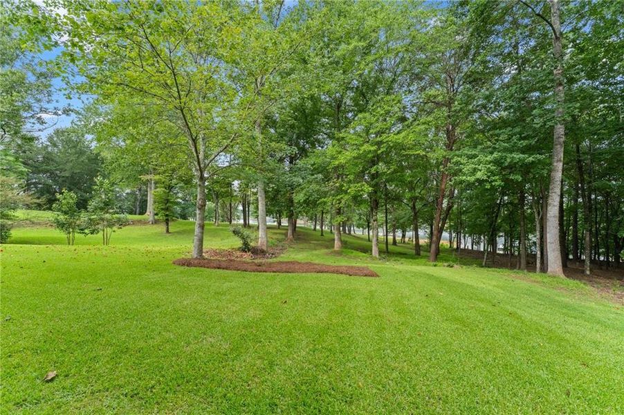 Natural landscape and outdoor views near  in Dawsonville (Image 90).
