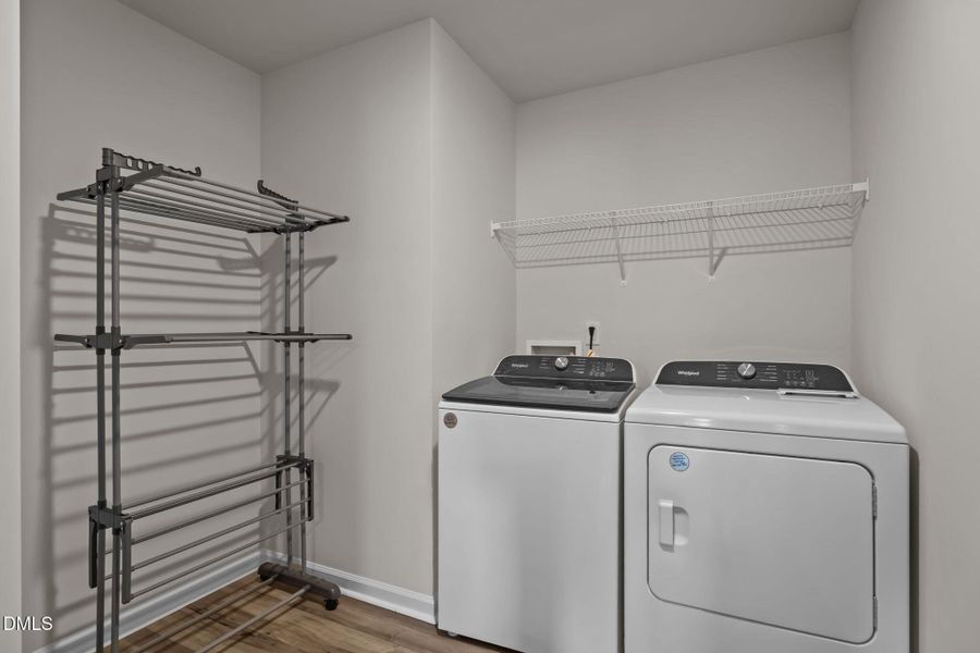 26-web-or-mls-DSC09687