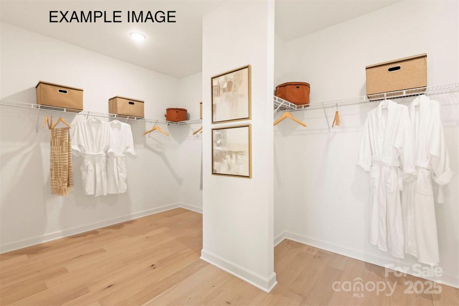 Example Photo - Premier Closet