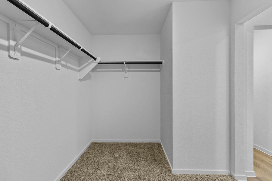 Spacious, unfurnished interior of a new home in Maple Woods, Hockley (Image 21). Spacious, unfurnished interior of a new home in Maple Woods, Hockley (Image 21).