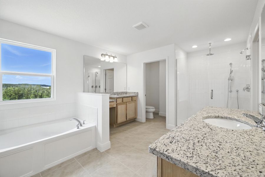 Furnished interior view inside a new home in Bargrove Estates, Mount Dora (Image 6).