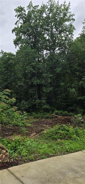 Natural landscape and outdoor views near  in Marietta (Image 30).