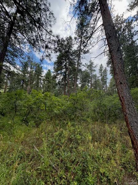 Image 3 of a home in .