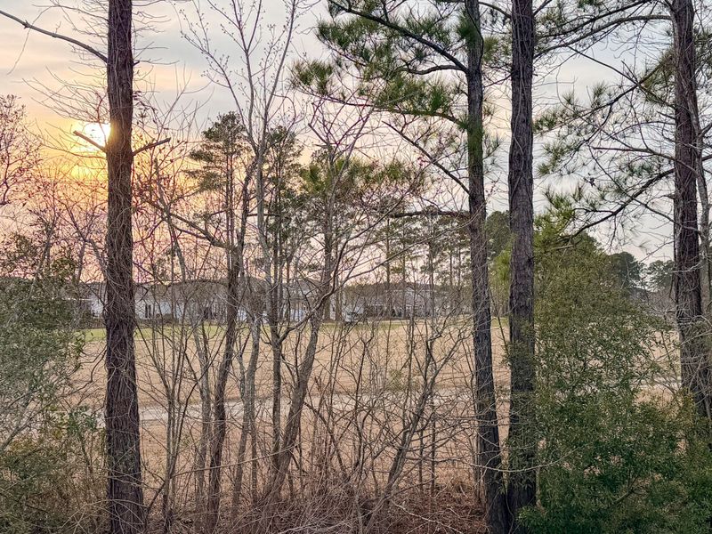 Natural landscape and outdoor views near  in Longs (Image 33).