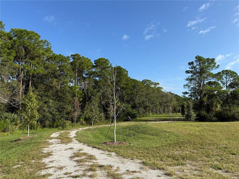 Natural landscape and outdoor views near  in Tampa (Image 28).
