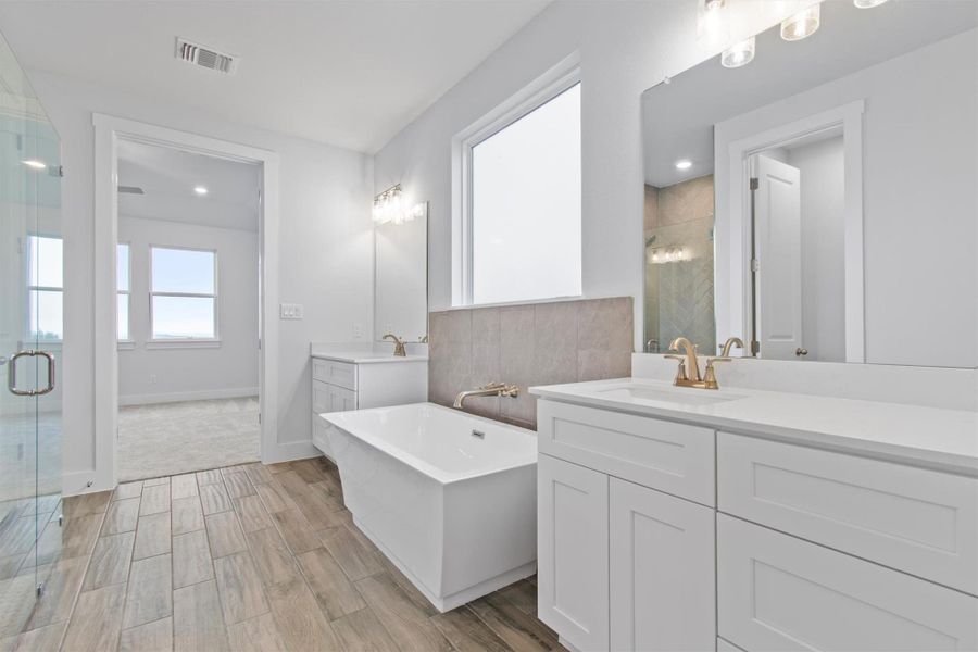 Bathroom with separate shower and tub and vanity