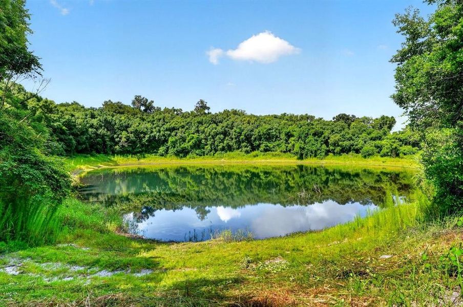 Natural landscape and outdoor views near  in Deland (Image 53).