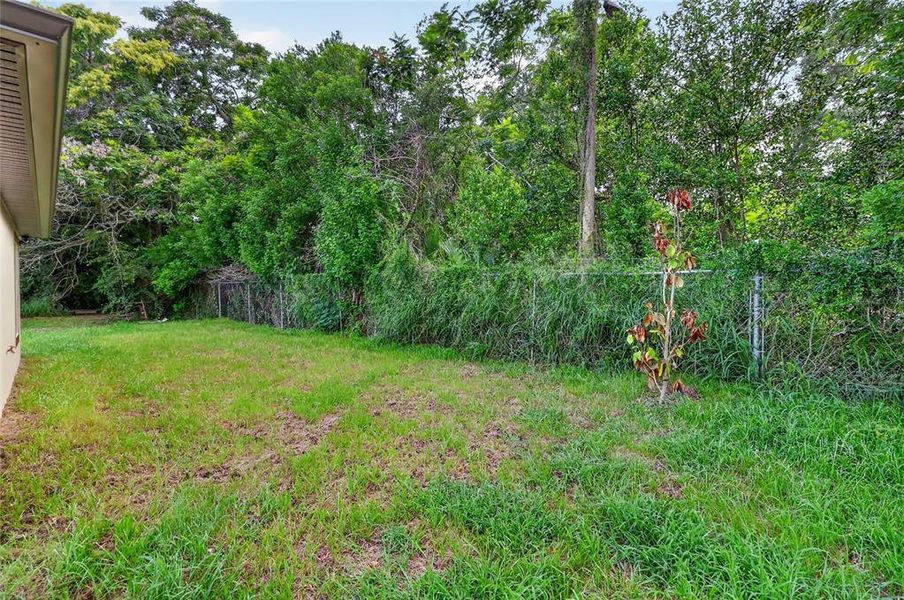 Natural landscape and outdoor views near  in Auburndale (Image 29).