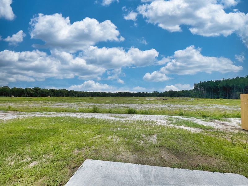 Natural landscape and outdoor views near Tranquil South in Hinesville (Image 16).