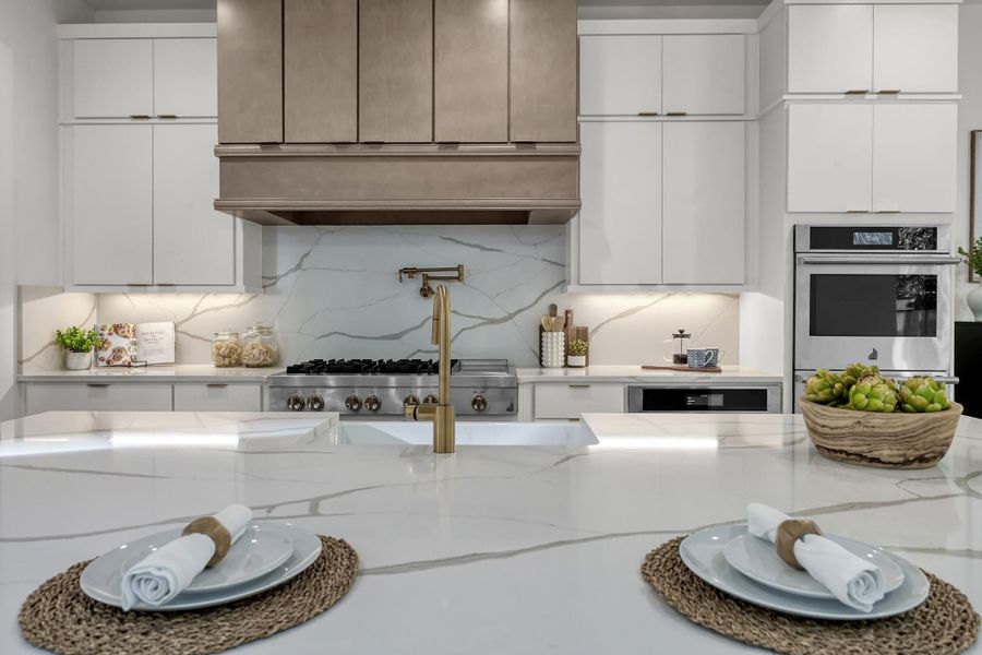 Kitchen close-up showcasing double ovens and designer range hood. Kitchen close-up showcasing double ovens and designer range hood.