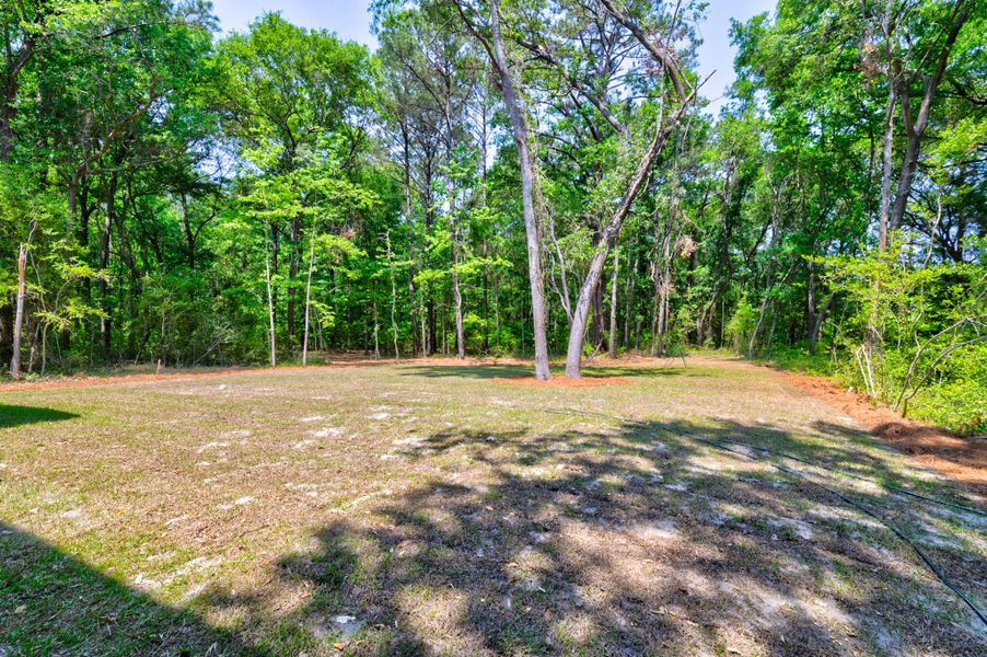 Natural landscape and outdoor views near  in Charleston (Image 50).