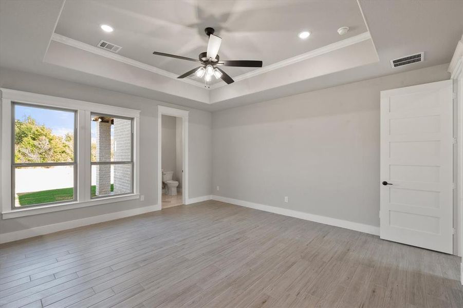 Unfurnished room with crown molding, a tray ceiling, light hardwood / wood-style floors, and ceiling fan