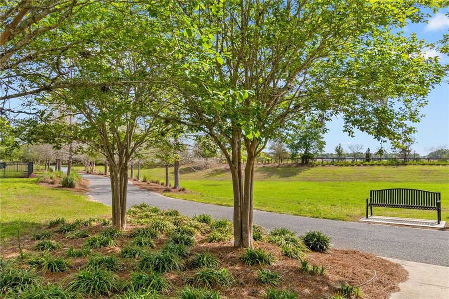 Natural landscape and outdoor views near  in Ocala (Image 57).