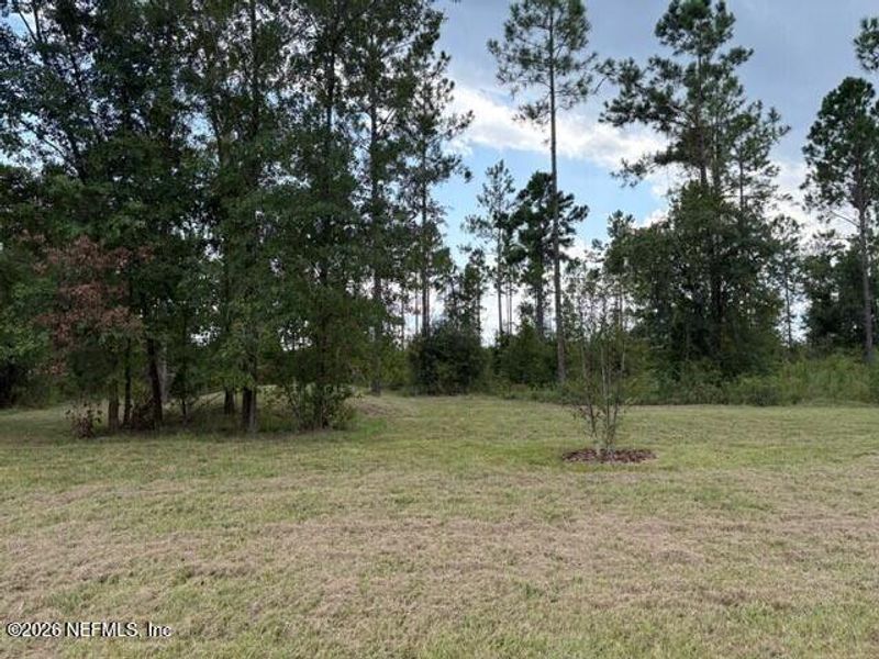 Natural landscape and outdoor views near Stables at Cary Forest in Bryceville (Image 10).