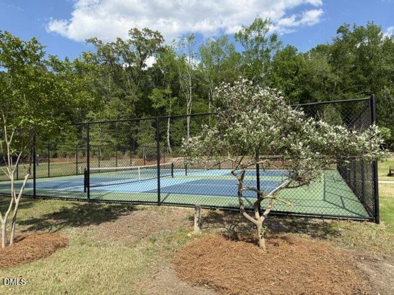 Community PB Court Community PB Court