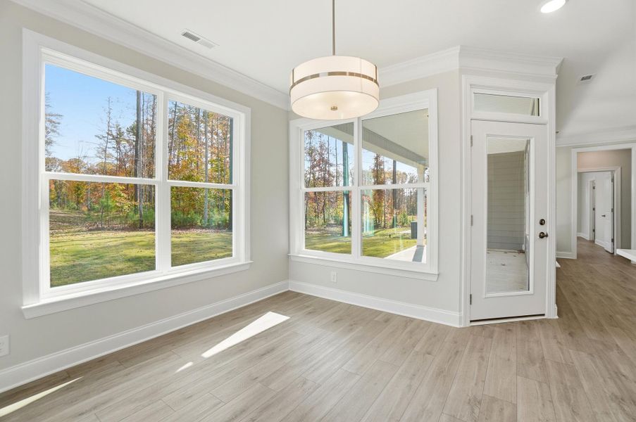 Spacious, unfurnished interior of a new home in Rone Creek, Waxhaw (Image 50).