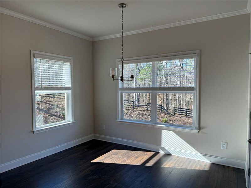 Spacious, unfurnished interior of a new home in River Rock, Ball Ground (Image 44).