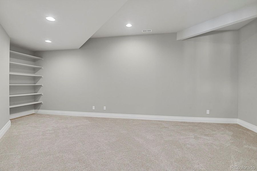 Theater/media room