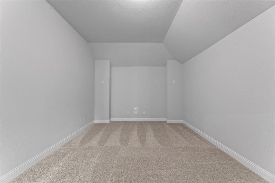 DAL_Painted Tree_Goodlow_4013 Clingsman Way (30)