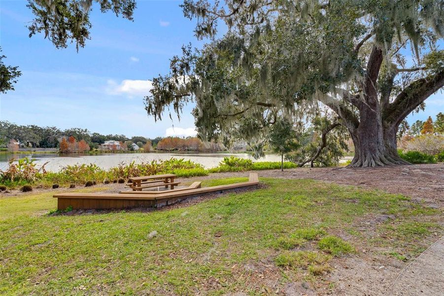 Natural landscape and outdoor views near Oakland Park in Winter Garden (Image 41).