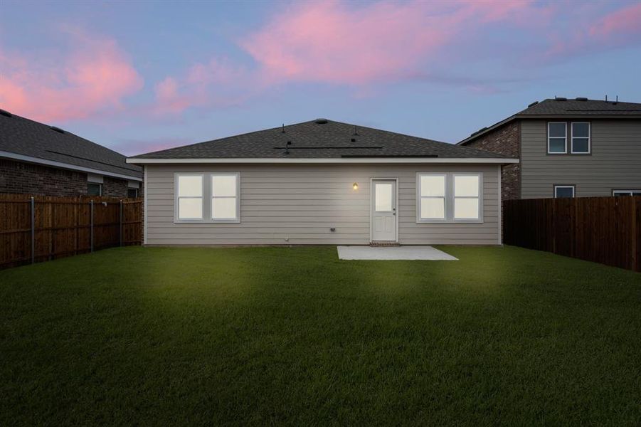 8340 Sniptoe- Back-2 8340 Sniptoe- Back-2