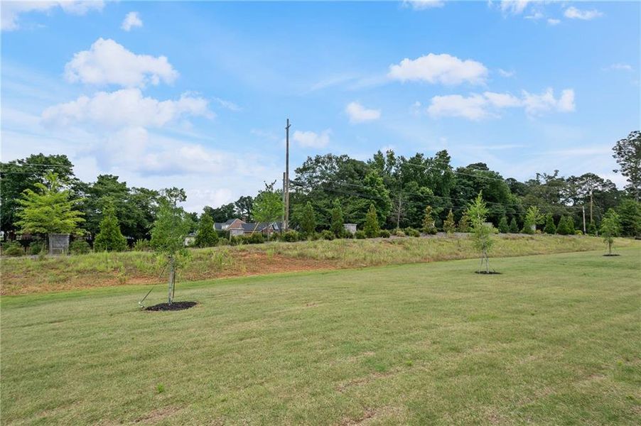 Natural landscape and outdoor views near Anderson Point Estates in McDonough (Image 40).