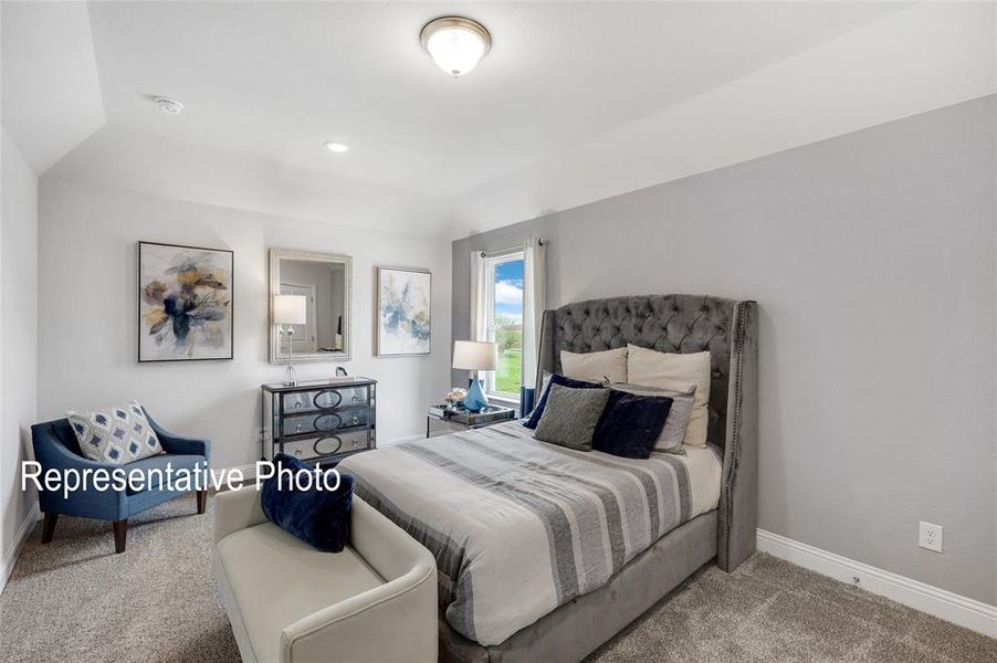 Bedroom with carpet flooring