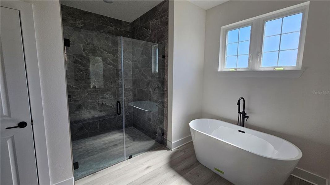 Furnished interior view inside a new home in , Port Charlotte (Image 4).