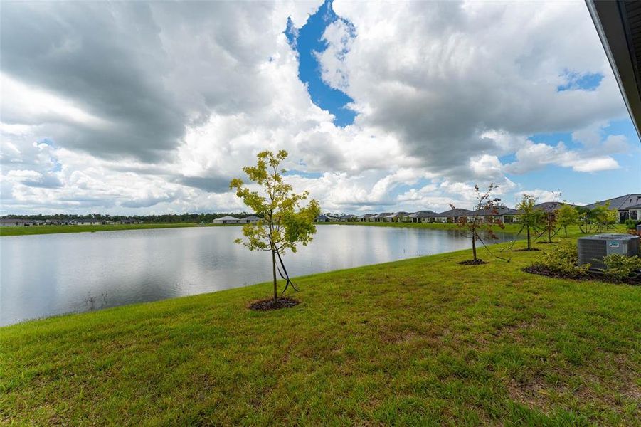 Natural landscape and outdoor views near Prosperity Lakes Active Adult in Parrish (Image 54).