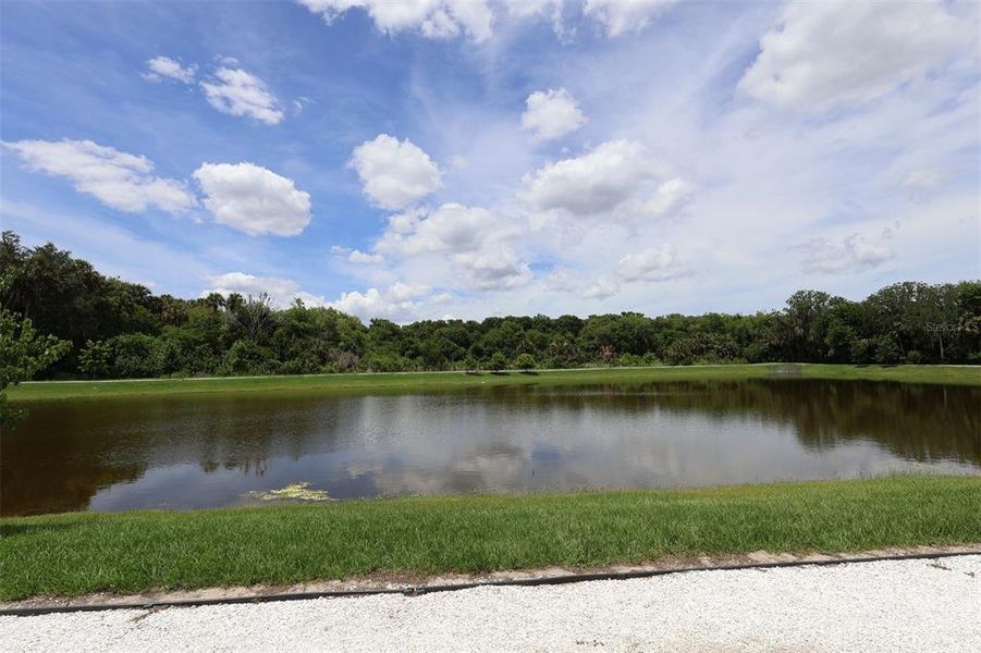 Natural landscape and outdoor views near Estates at Rivercrest in Sanford (Image 16). Natural landscape and outdoor views near Estates at Rivercrest in Sanford (Image 16).