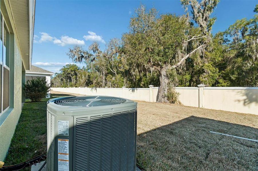 Exterior details and patio area of a home in Cascades at Southern Hills, Brooksville (Image 25).