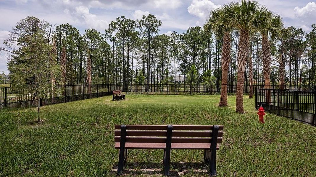 Community amenities in Harvest at Ovation, Winter Garden (Image 37).