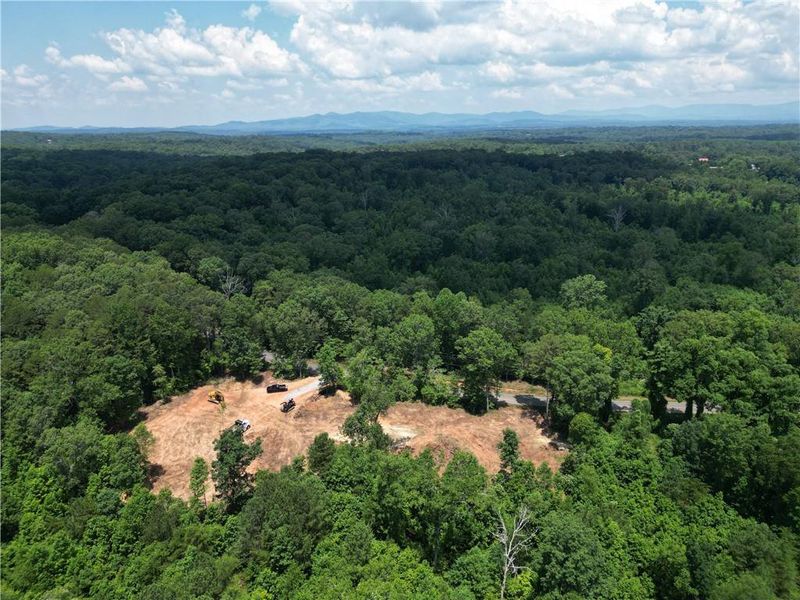 Natural landscape and outdoor views near  in Ellijay (Image 4).