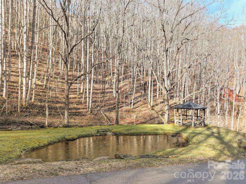 Natural landscape and outdoor views near  in Maggie Valley (Image 26).