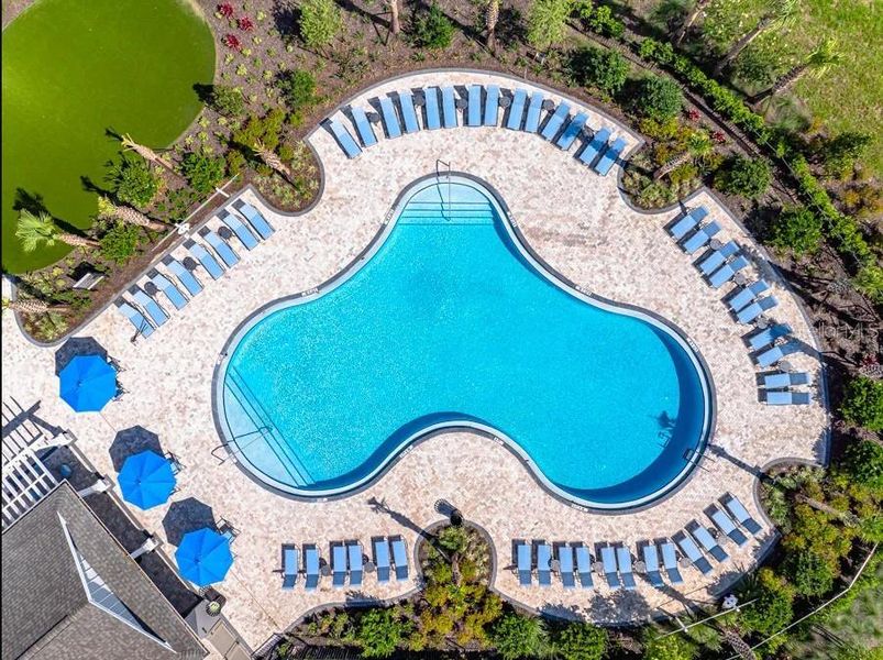 Community amenities in Palm Wind, Hudson (Image 16).