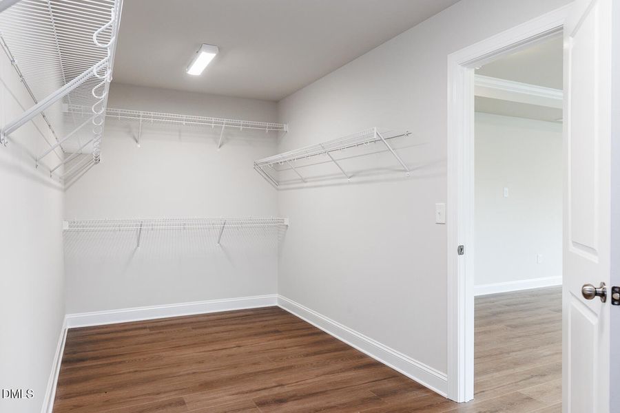 MAG SF_Lot140_Yosemite_QMI (36)