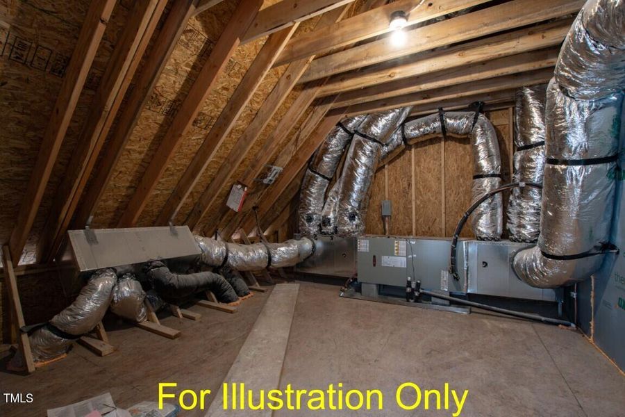 Megan - FIO Pro Pics_Page_45 (Medium)