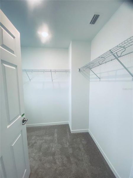 Primary Walk-In Closet