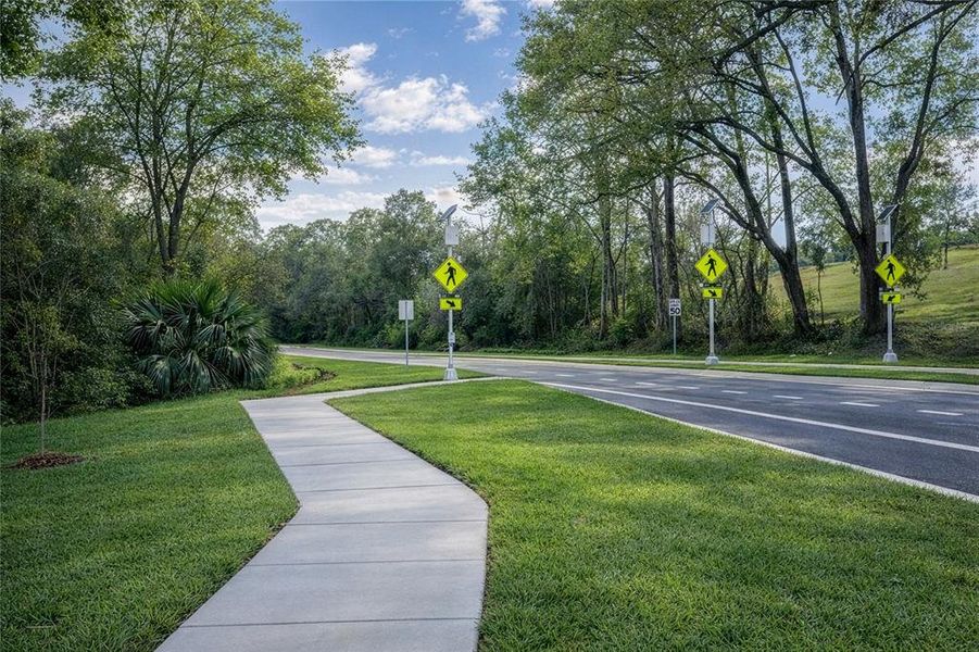 Natural landscape and outdoor views near Kirkland Farms in Alachua (Image 28).