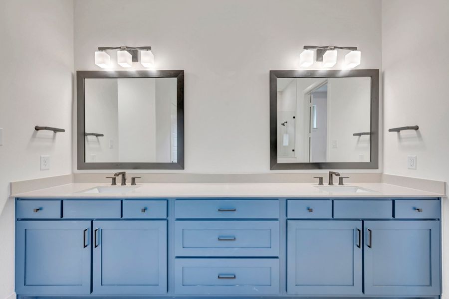 Owner's Bath