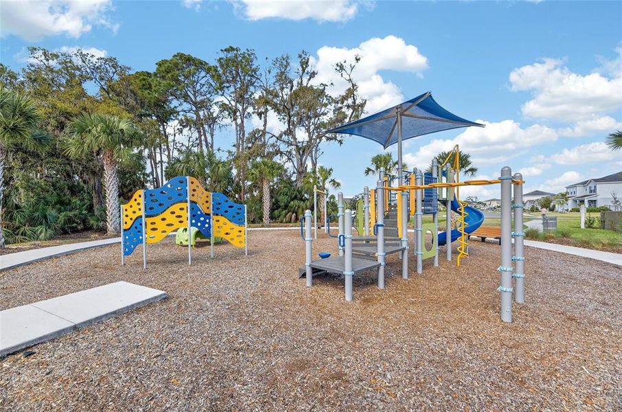 Community amenities in Summerwoods, Parrish (Image 56).