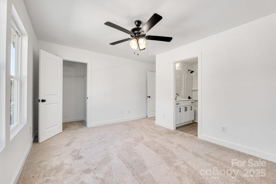 Representative Photos