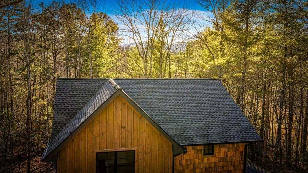 Front exterior of a new home in , Blue Ridge, GA, highlighting curb appeal (Image 2).