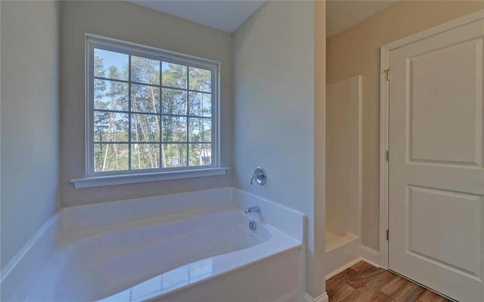 Spacious, unfurnished interior of a new home in , Demorest (Image 19).