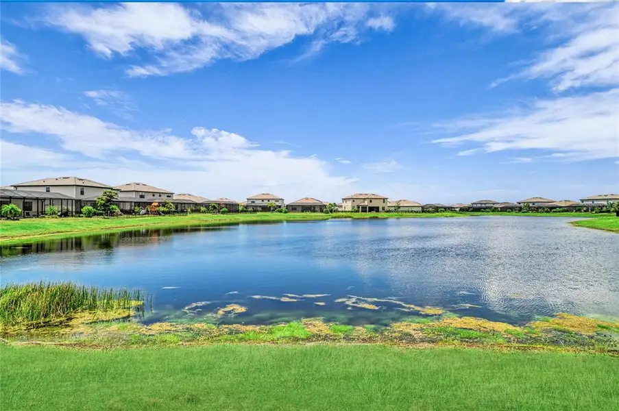 Natural landscape and outdoor views near  in Lakewood Ranch (Image 70).