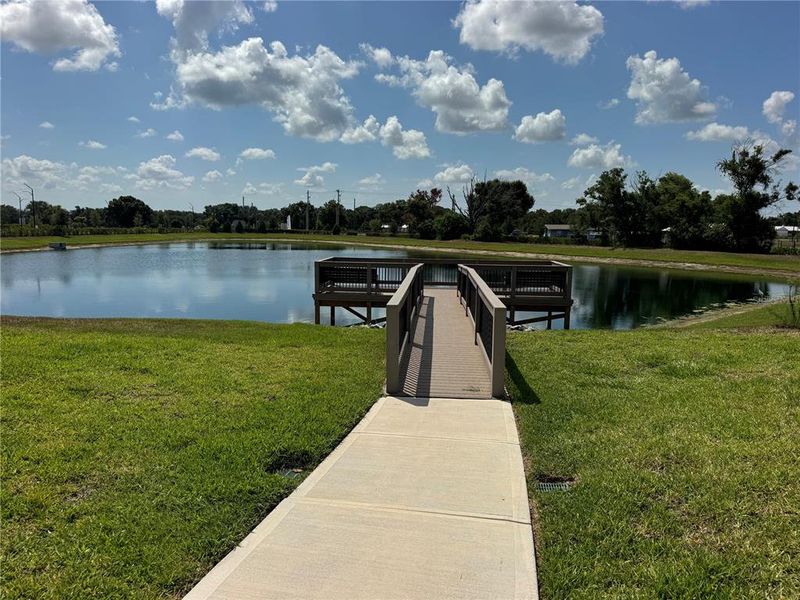 Community amenities in Prosperity Lakes, Parrish (Image 25).