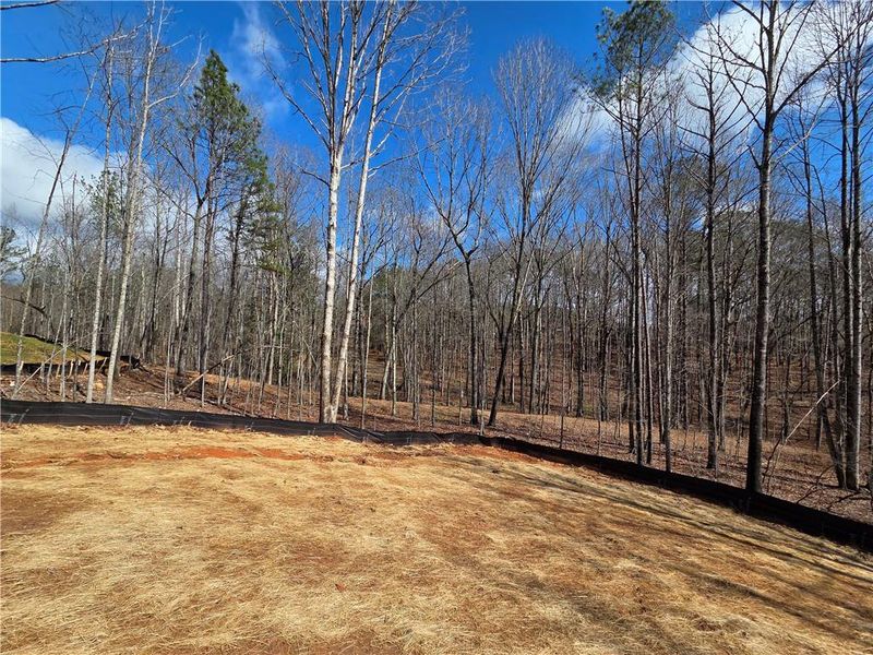 Site preparation for new homesites in Benson Estates, Dallas (Image 18).