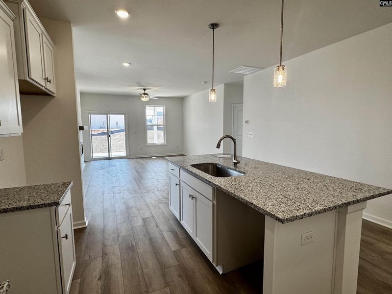 Furnished interior view inside a new home in Boykin Hills, Chapin (Image 4).