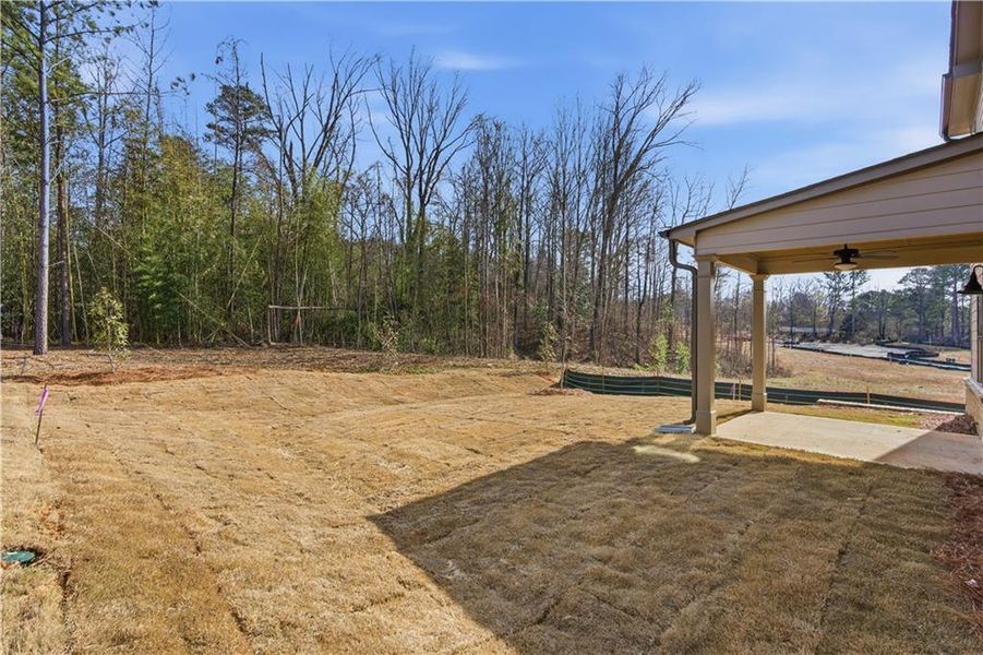 Exterior details and patio area of a home in Meadow Pines, Dallas (Image 18).
